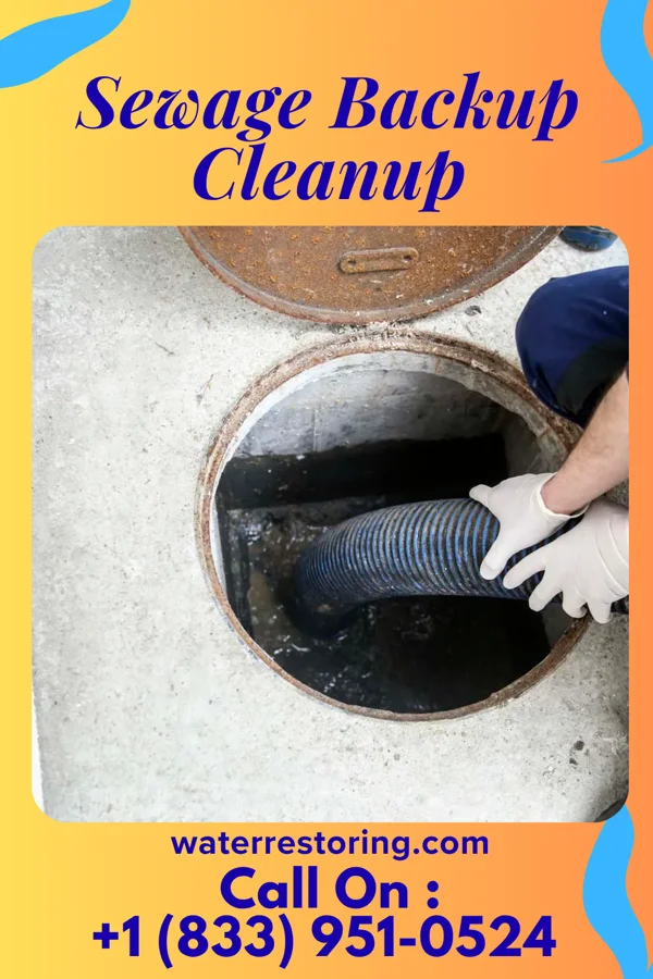 Sewage Backup Cleanup in Huntsdale, MO