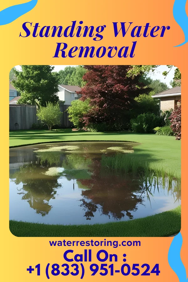 Standing Water Removal in Huntsdale, MO